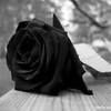 blanca_1922
